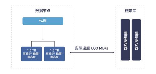 英特爾傲騰技術 高效解決冷數據存儲挑戰(zhàn)，賦能數據處理與存儲服務